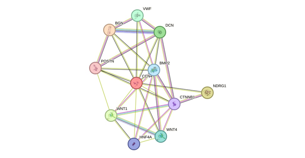 gene-network